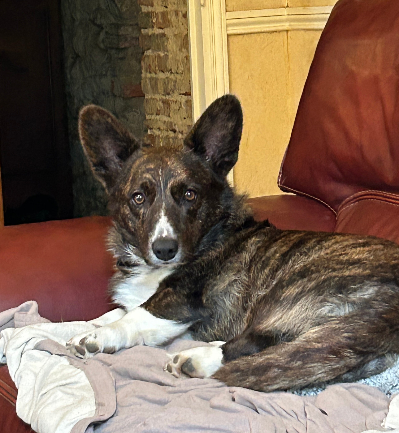 siwan de la Lande d'Escurat